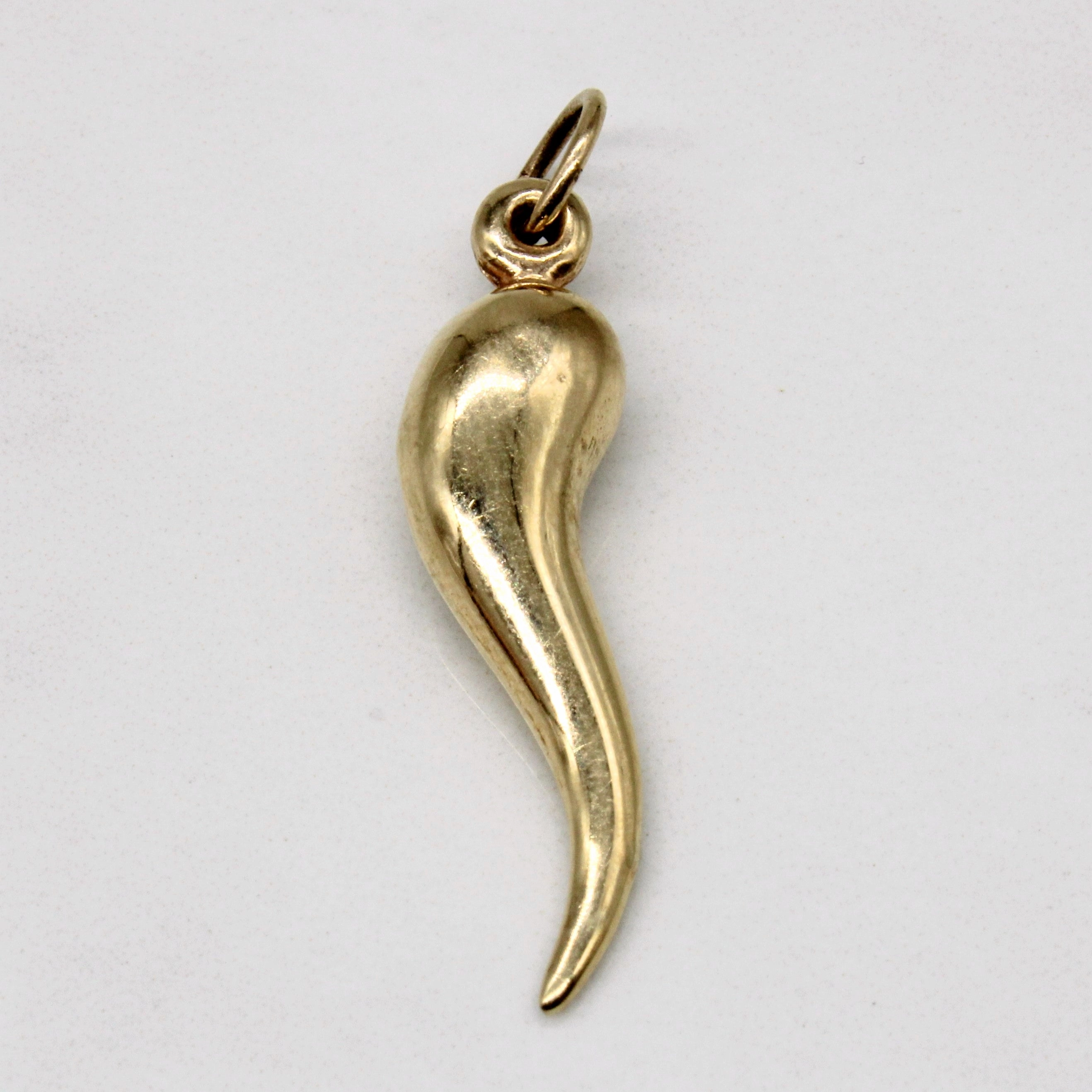 10k Yellow Gold Cornicello Charm Sleek Spark