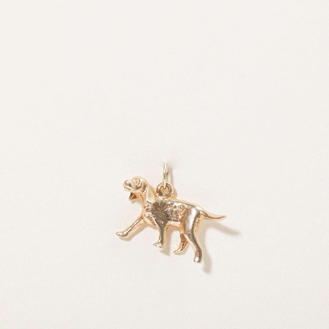 Subtle Touch 10k Yellow Gold Dog Charm