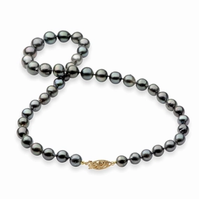 Sparkling Accent 18-19" Tahitian Black Pearl Strand with Gold Clasp - 8-11mm