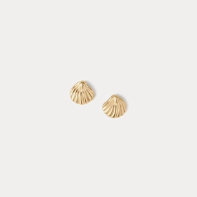 Fashionable Aesthetic Graceful Must-Have Baby Seashell Studs