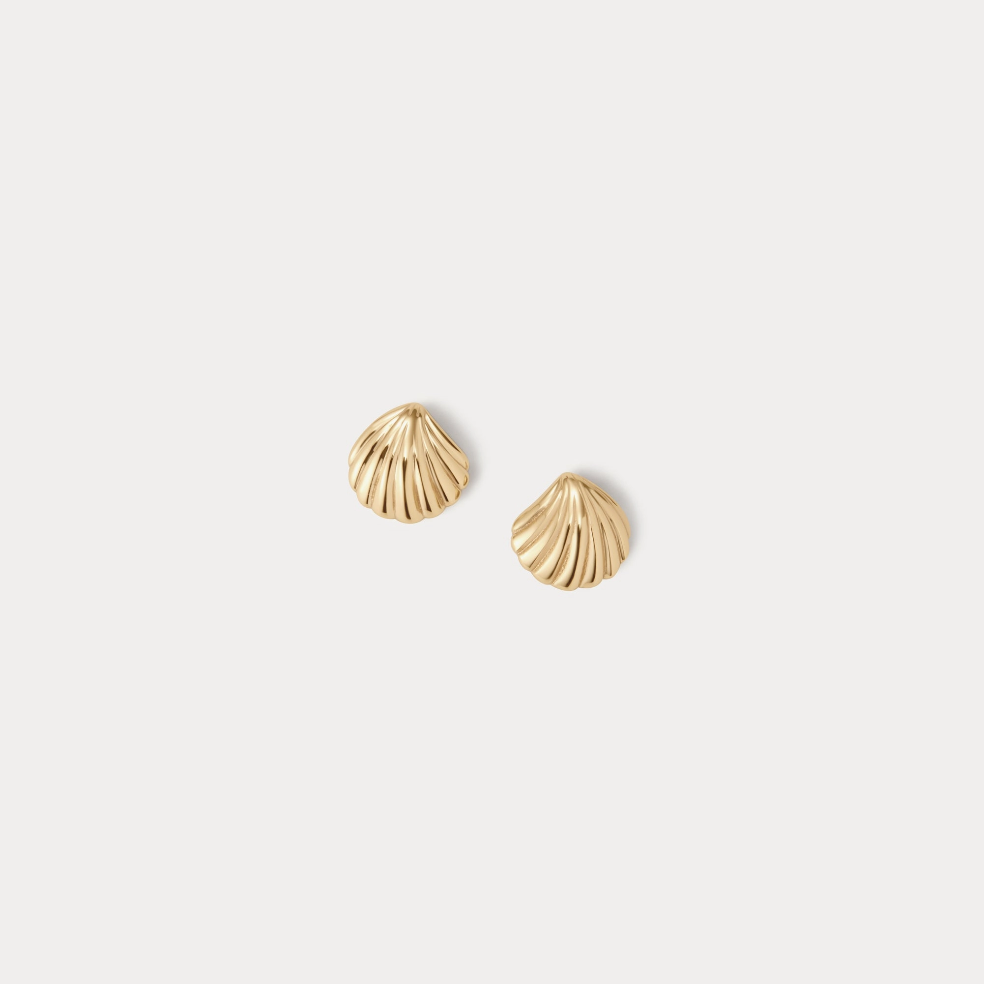 Baby Seashell Studs Timeless Wardrobe Subtle Edge