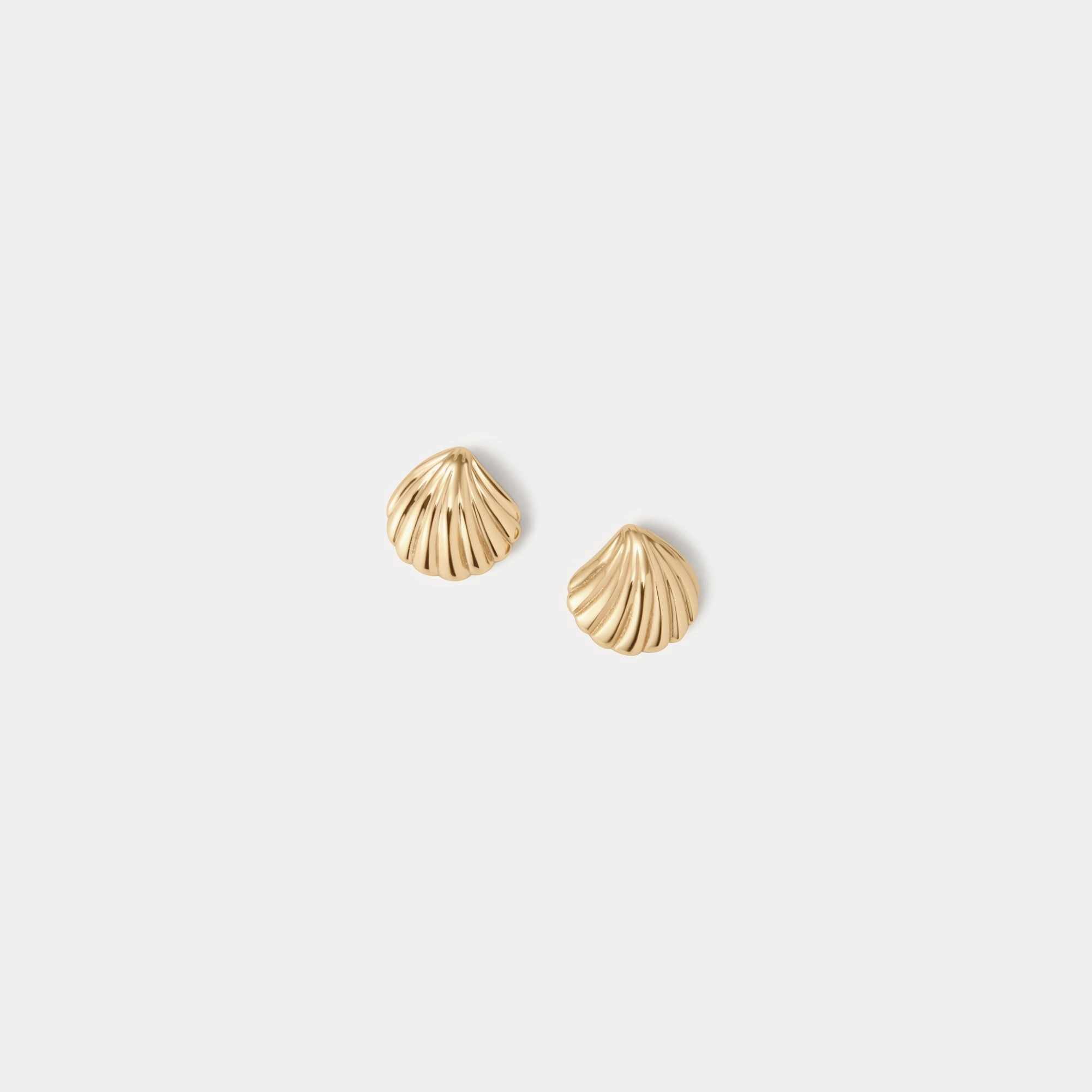 Fashionable Aesthetic Graceful Must-Have Baby Seashell Studs