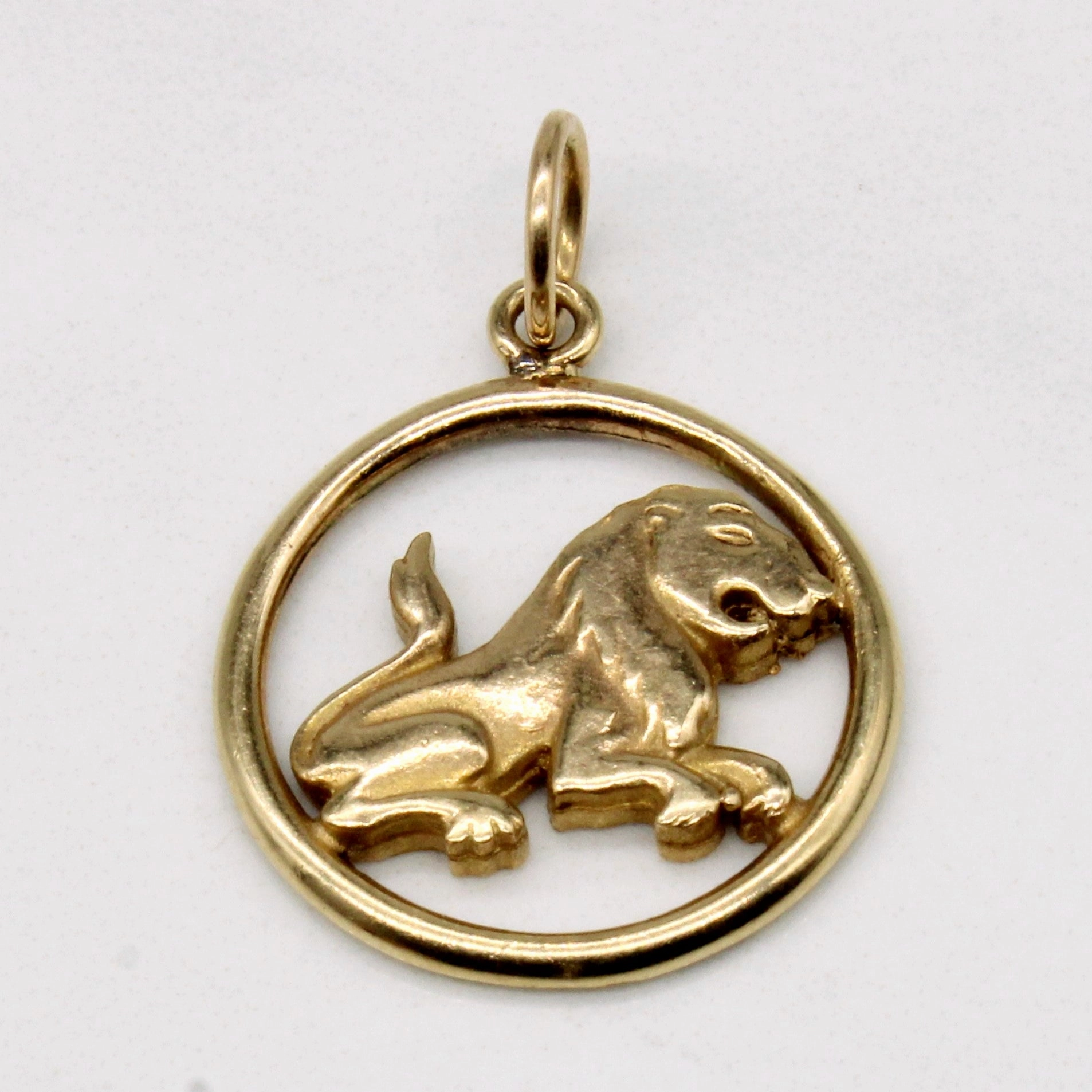 Artisan Craft Shiny Texture 10k Yellow Gold Lion Charm