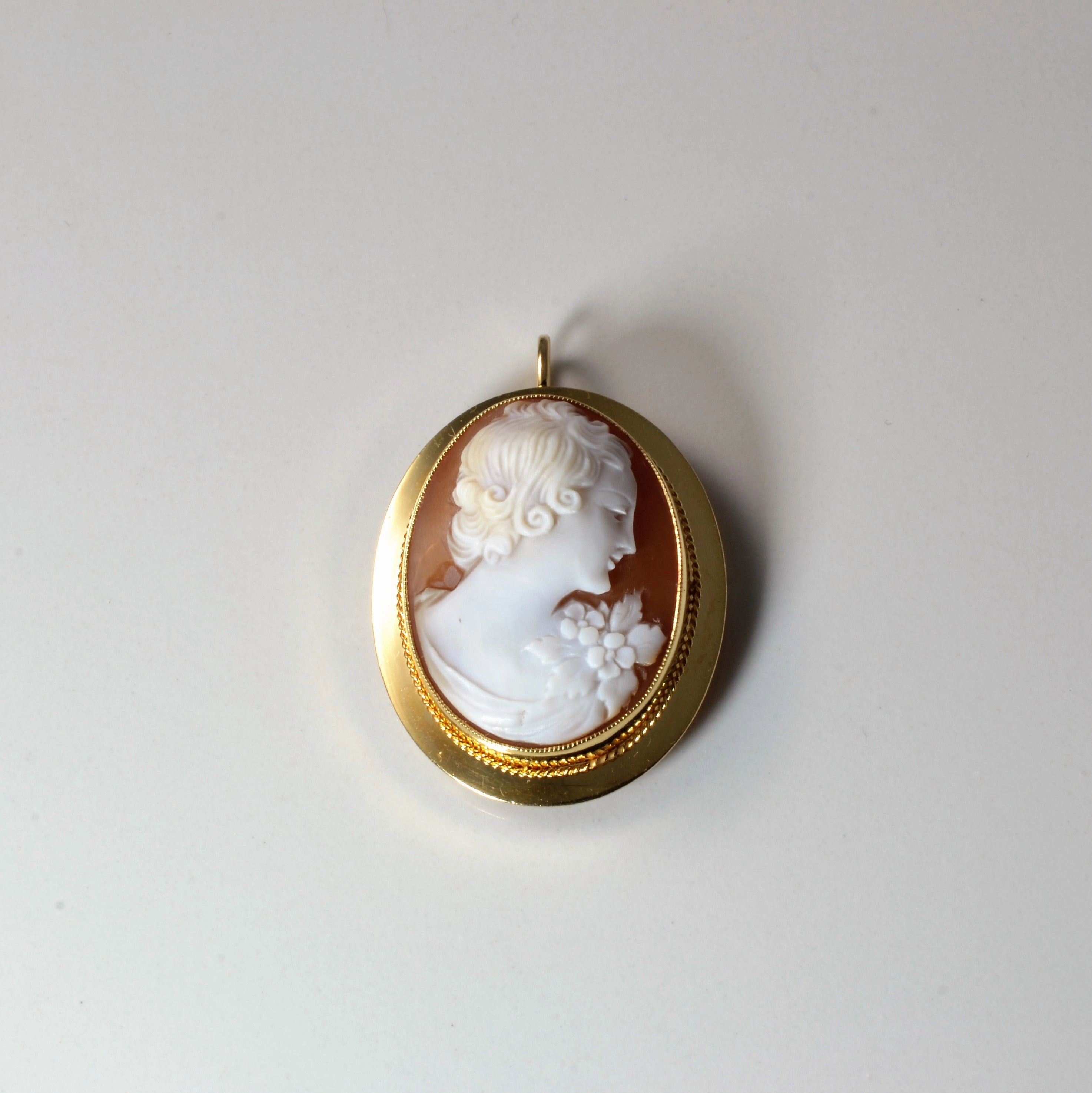 Convertible Cameo Pendant/Brooch | Sleek Shine Eye-Catching Sparkle