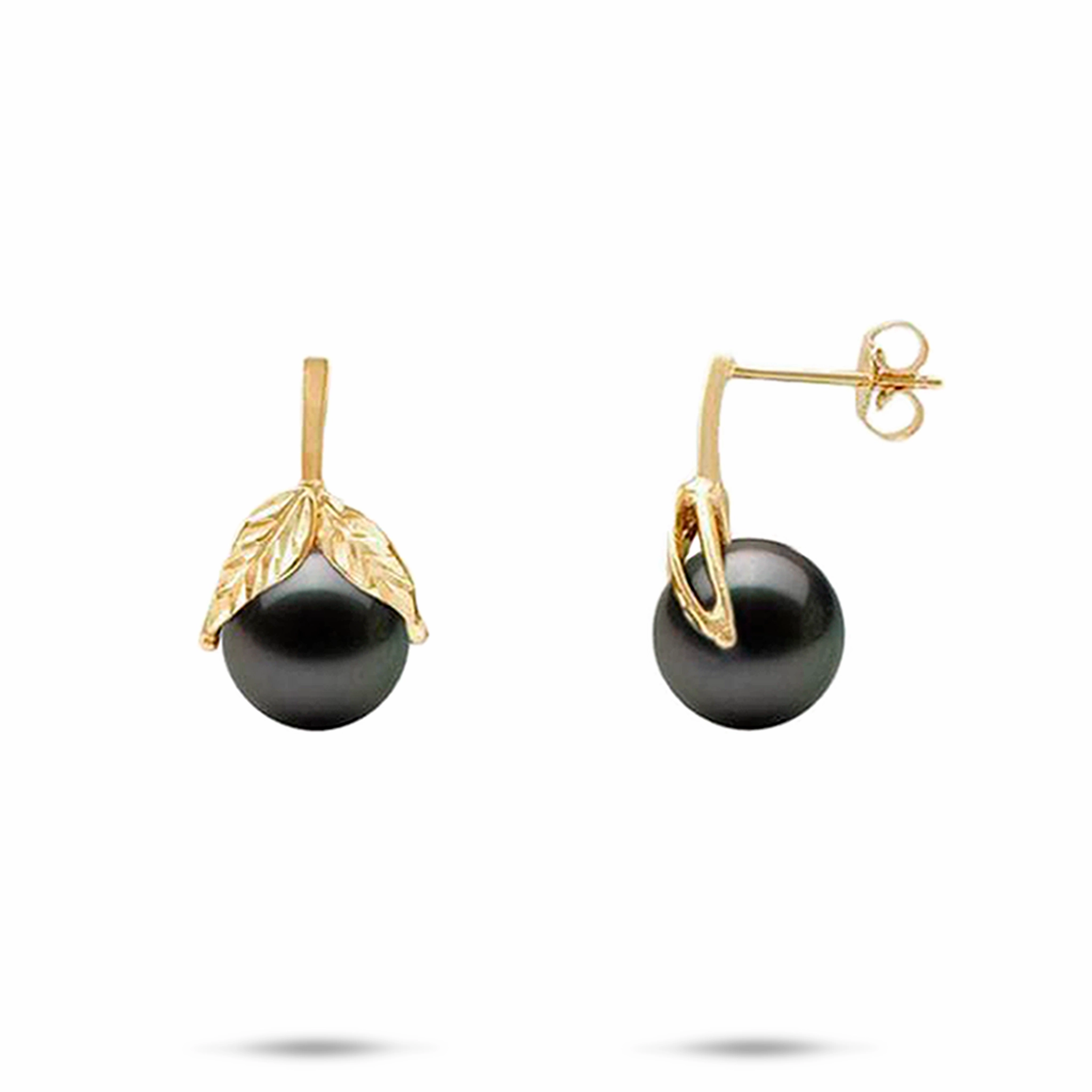 Maile Tahitian Black Pearl Earrings in Gold - 9-10mm Delicate Accent Evening Accent