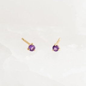 Captivating Accent Delicate Edge February Birthstone Stud Earrings 14k Gold - Amethyst