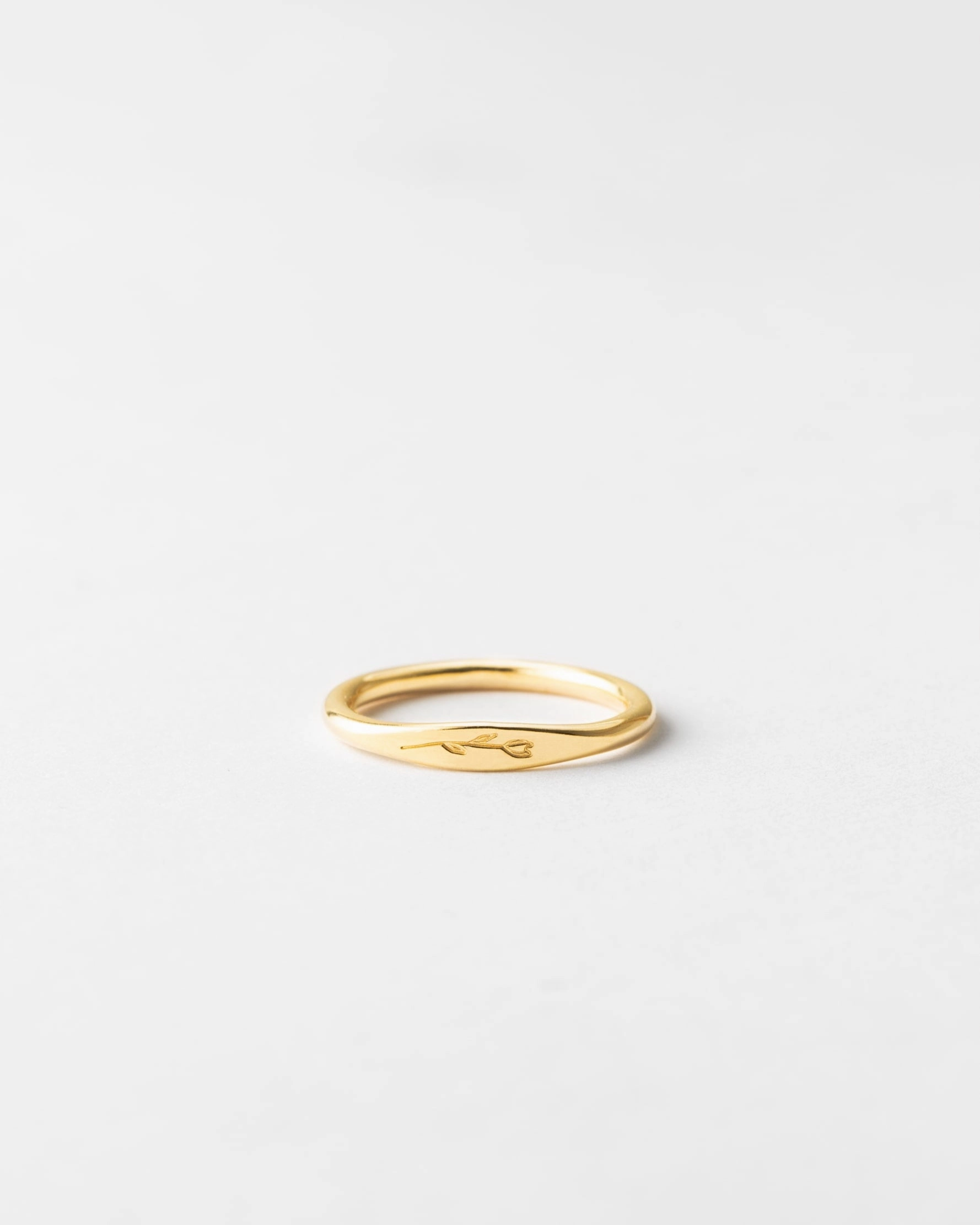 Fashion Treasures Founder's Favorite Ring Set