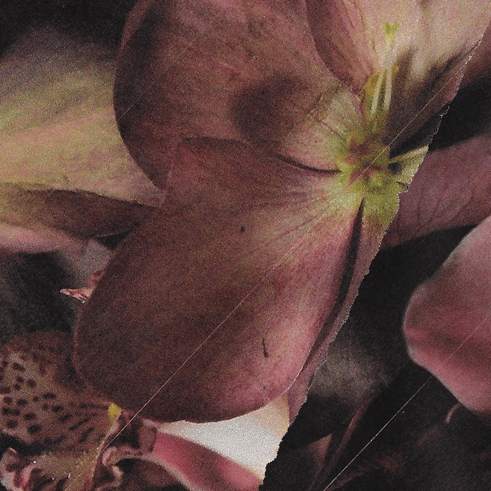 Midnight Blossom Necklace Wedding Piece