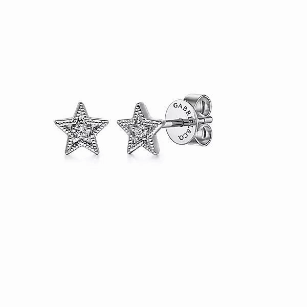 14K White Gold .02cttw Diamond Star Shape Stud Earrings. Ornate Feature Beautiful Embellishment