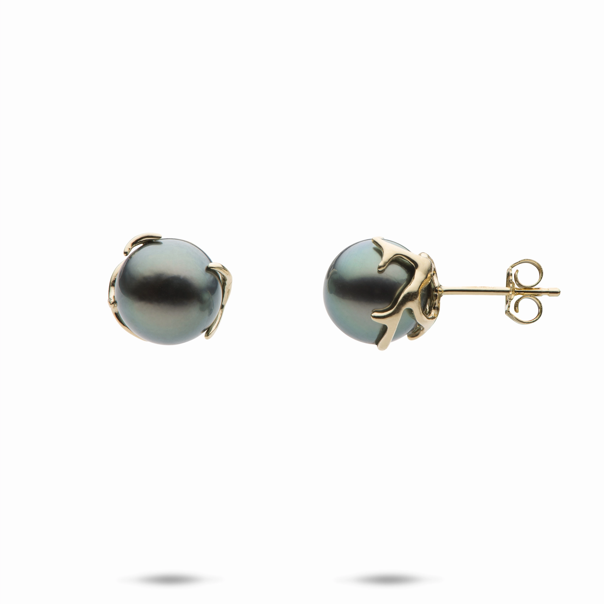 Heritage Tahitian Pearl Earrings in Gold - 9-10mm High Fashion Outdoor Light