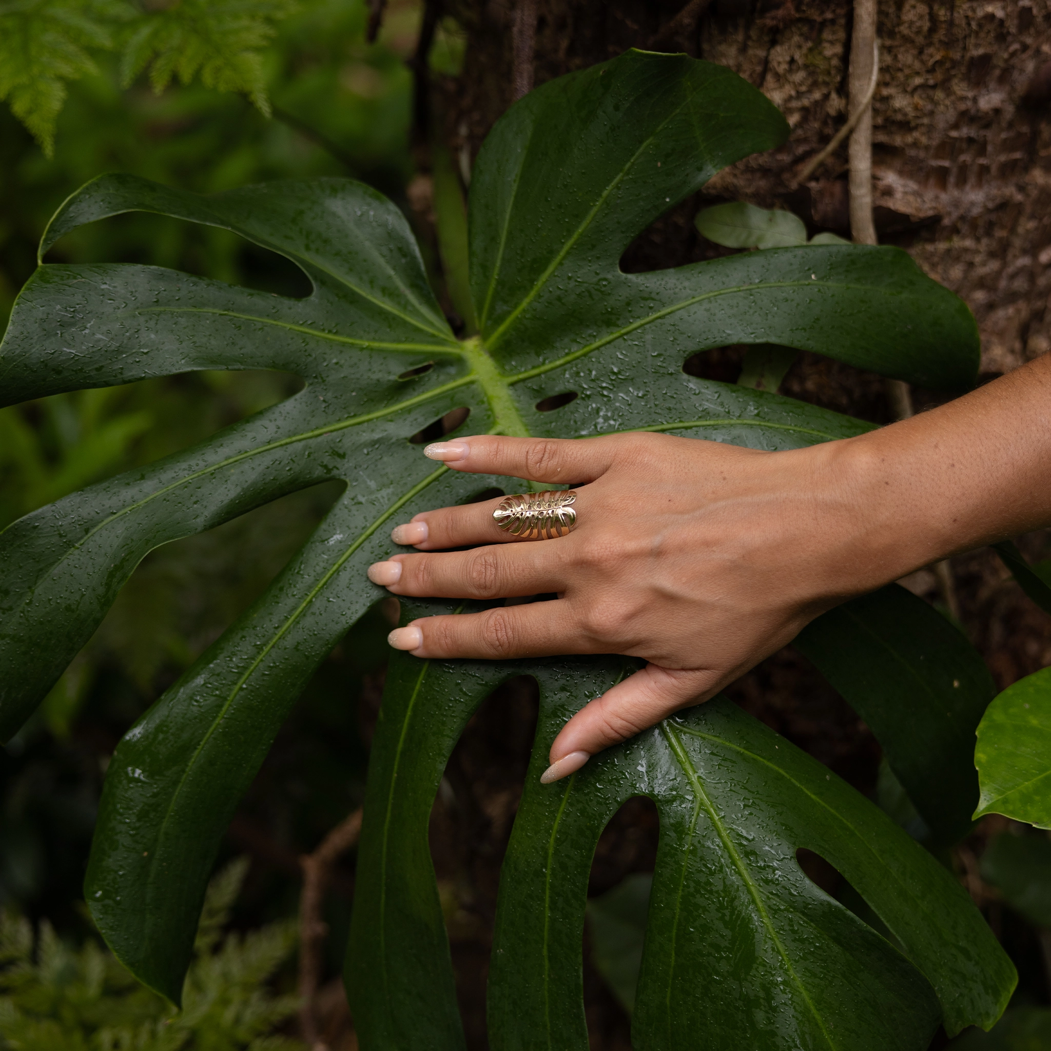 Distinctive Sparkle Simple Accent Monstera Ring in Gold - 30mm