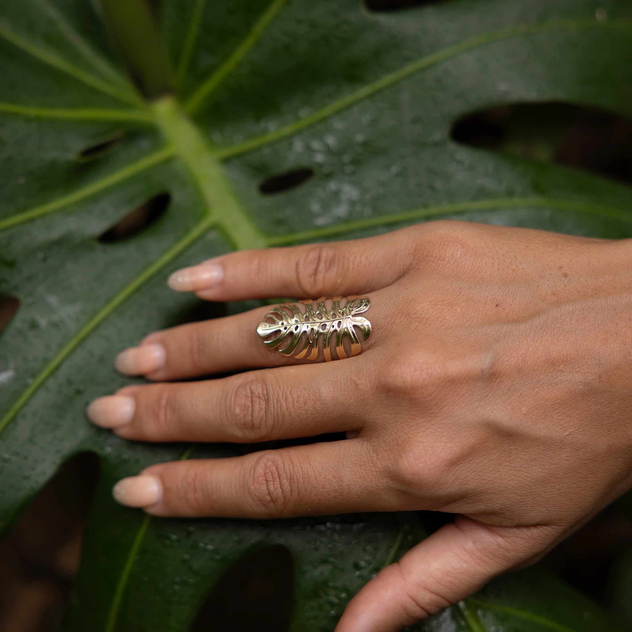 Signature Form Dazzling Effect Monstera Ring in Gold - 30mm
