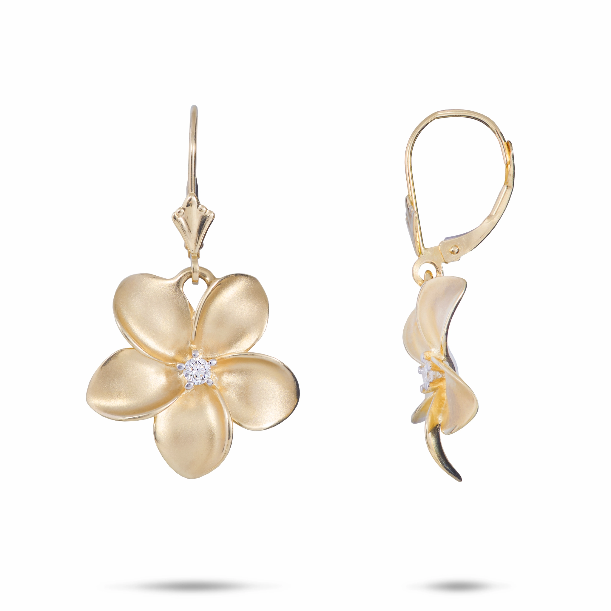 Charming appeal Plumeria Earrings in Gold - 18mm