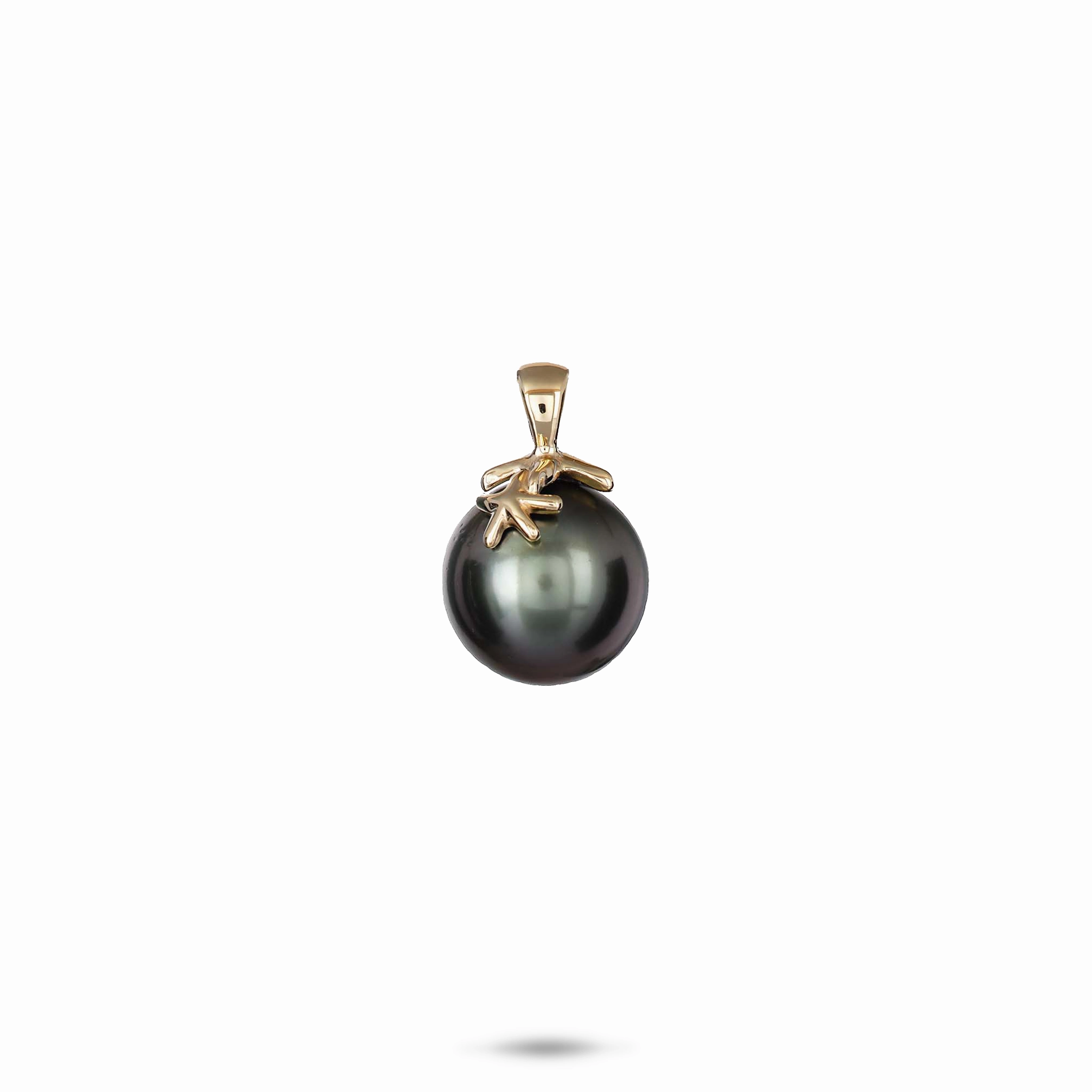 Reefs Starfish Tahitian Black Pearl Pendant in Gold - 10-11mm Minimal Mood