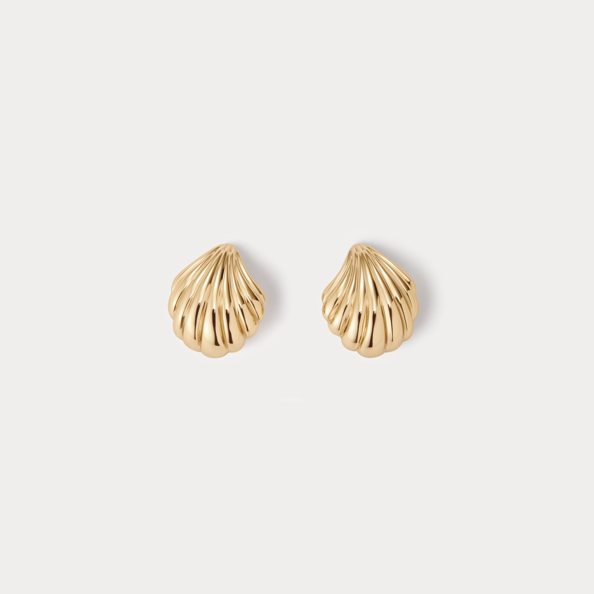 Seashell Studs City Style