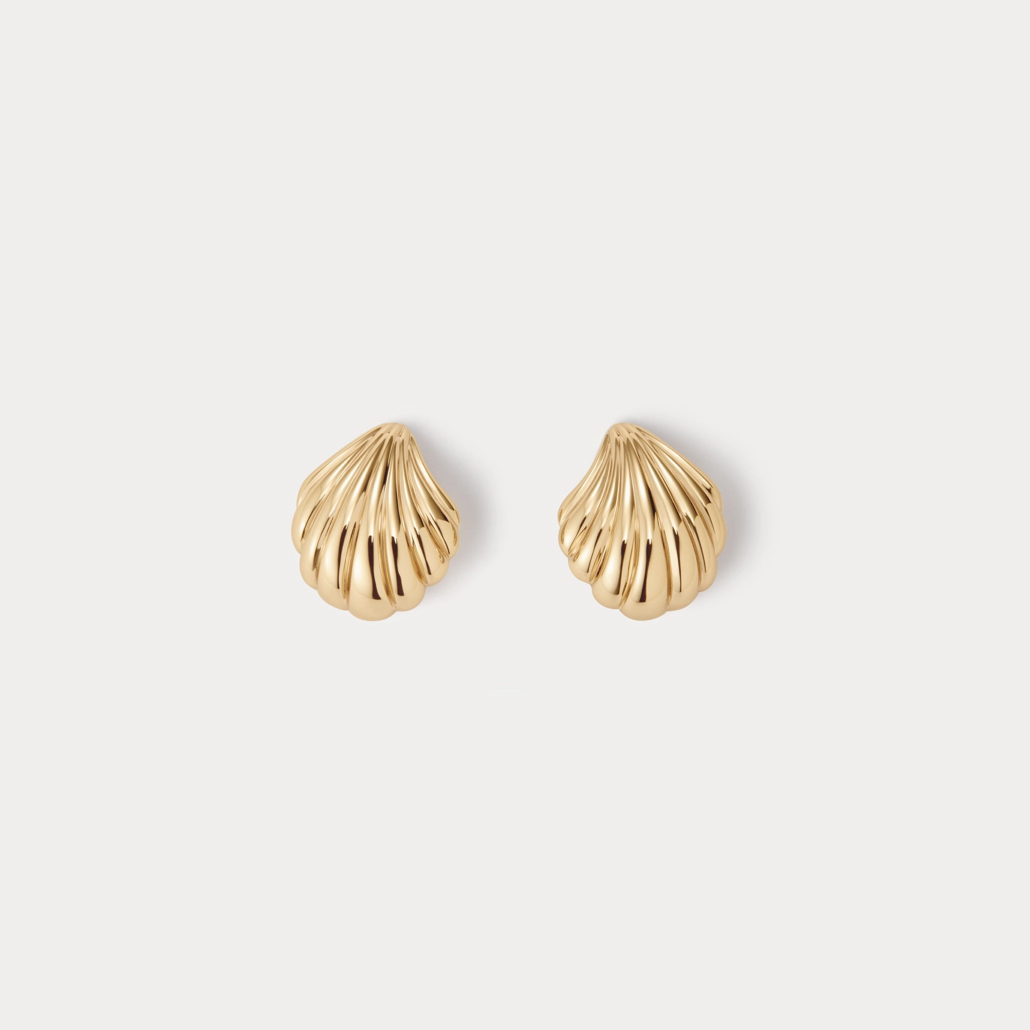 Shiny look Delicate Element Seashell Studs