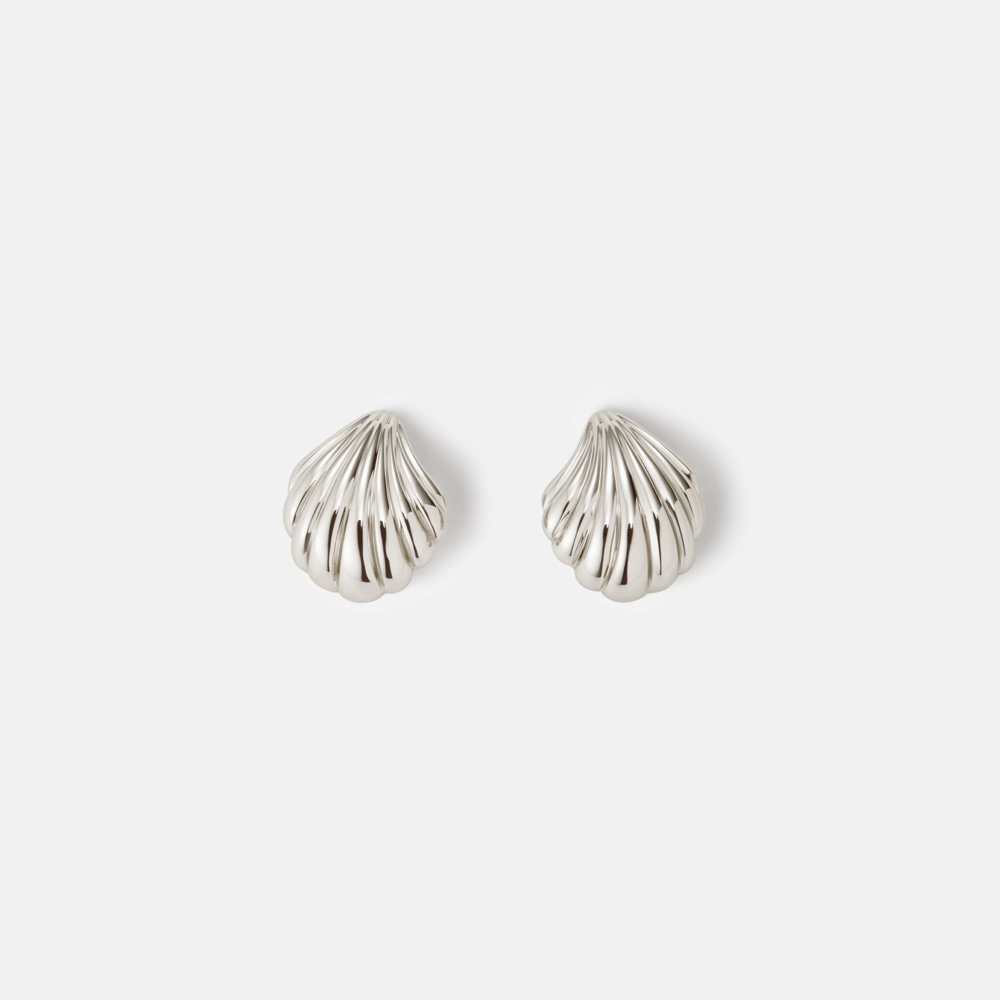 Graceful Essential Classic Item Seashell Studs
