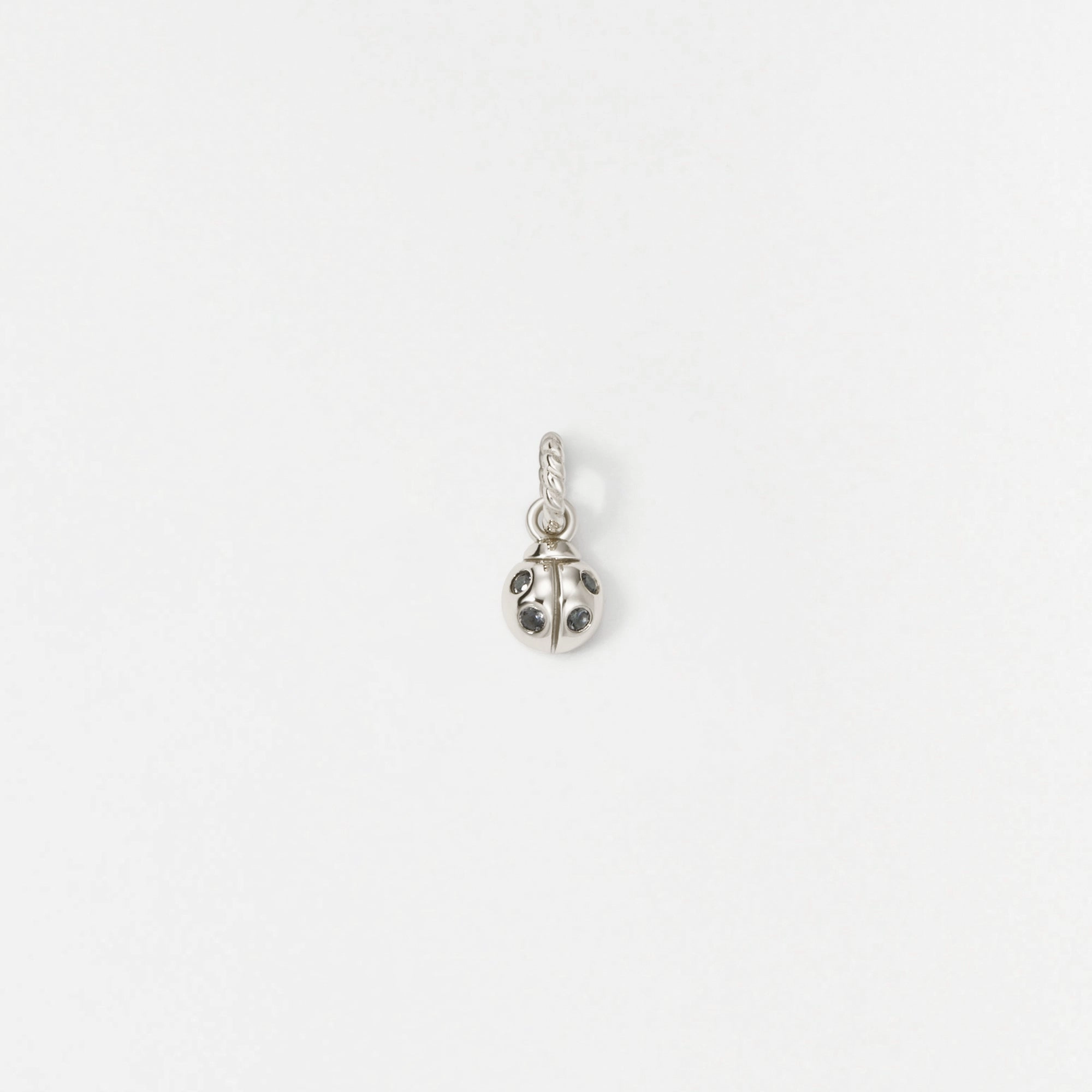 Ladybug Charm Summer Gift