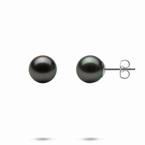 Glitter Finish Tahitian Black Pearl Earrings in White Gold - 9-10mm