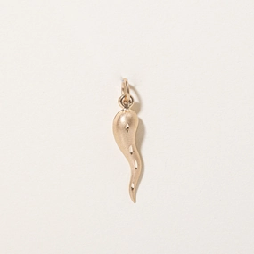 10k Yellow Gold Cornicello Charm Bright Glow